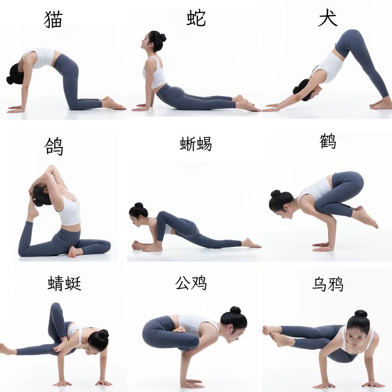 抖音瑜伽店怎么评价？具体步骤介绍(抖音瑜伽店怎么开)
