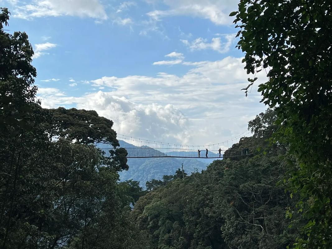 非洲卢旺达流量卡