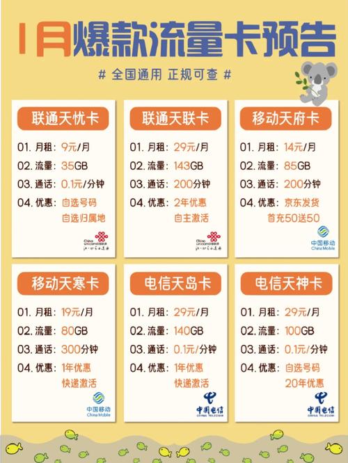 流量卡每个月充多少流量