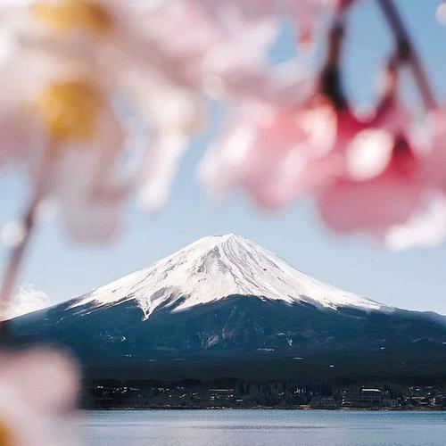 流量卡日本电话卡