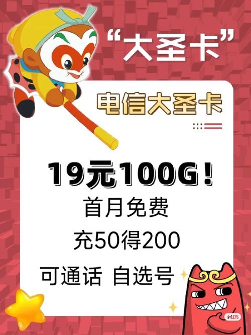 流量卡电信大圣卡办理