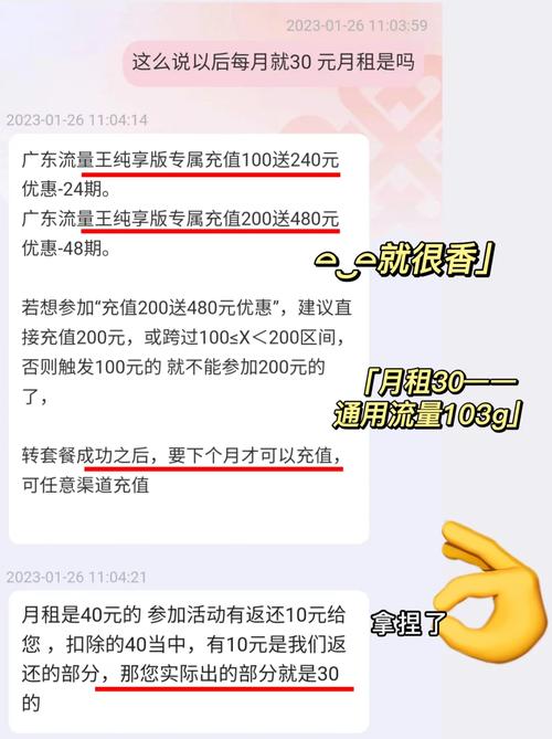 流量王纯享版副卡流量