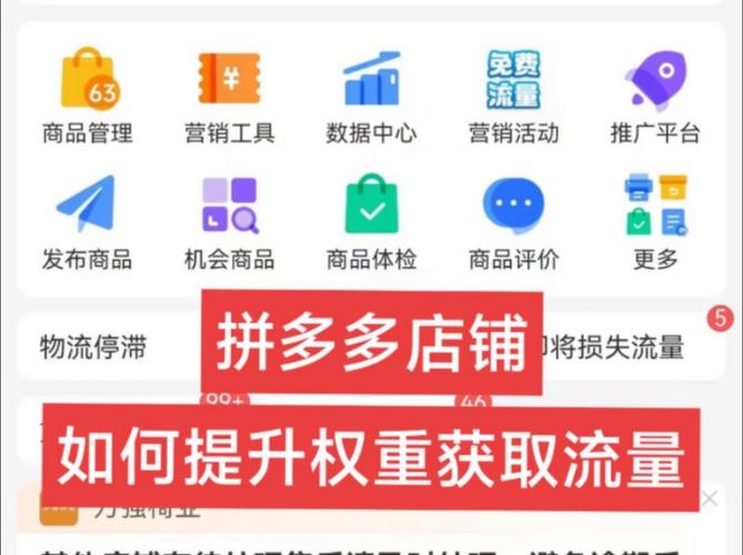 拼多多店铺权重要怎么提高?店铺权重在哪看?(拼多多店铺权重要怎么提高)
