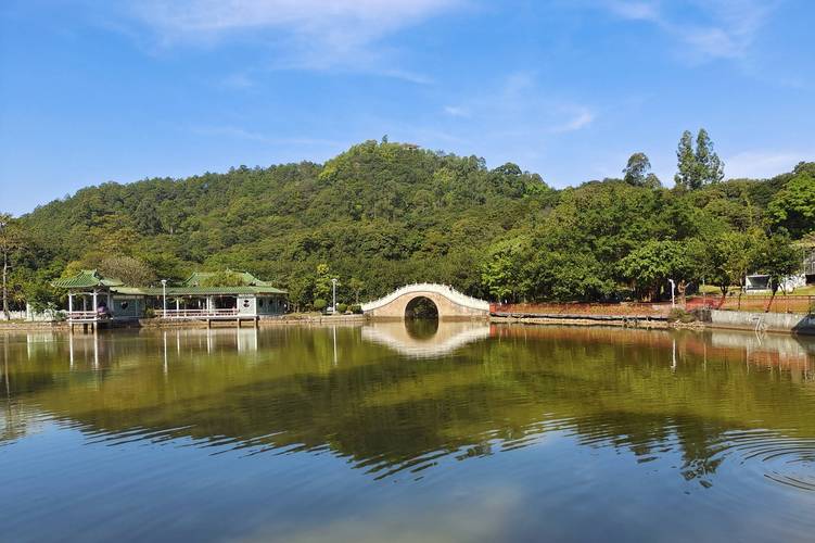 广东鹤山流量卡
