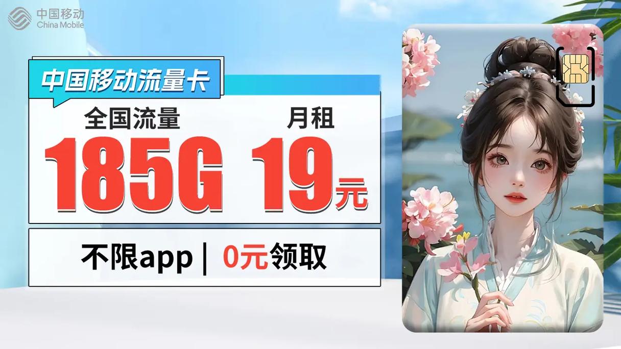 中国王卡流量