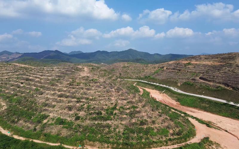 广东鹤山流量卡