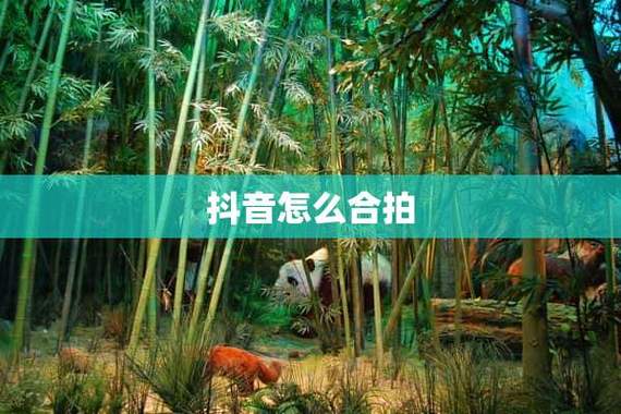抖音怎么合拍对唱歌曲?如何吸粉?(抖音怎么合拍对唱)