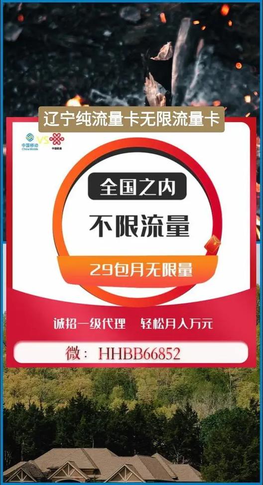 辽东流量卡