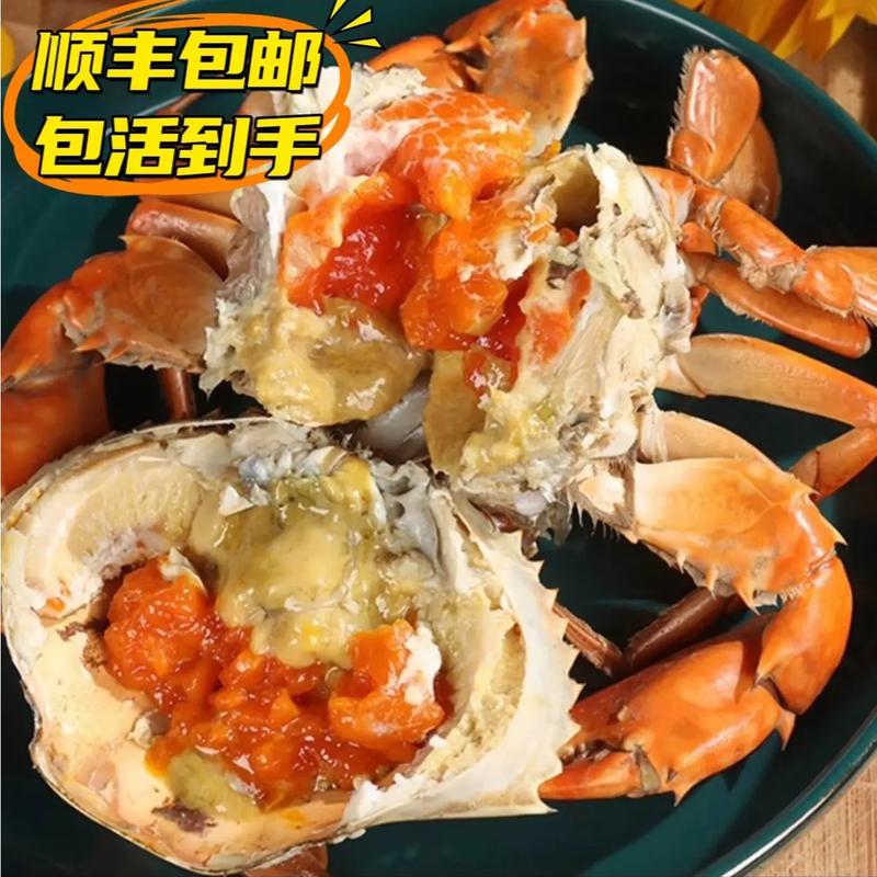 如何在抖音小店成功上架1688的海鲜产品？