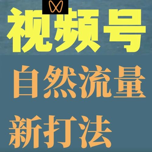 视频号新号会有流量扶持吗?新手流量扶持多久?(视频号新号会有流量扶持吗)