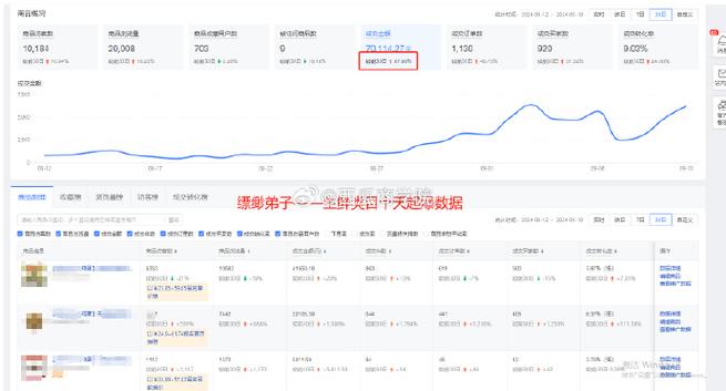 拼多多运营怎么做的?拼多多运营基础教程(拼多多运营怎么看数据)