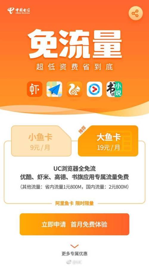 鱼卡查询流量