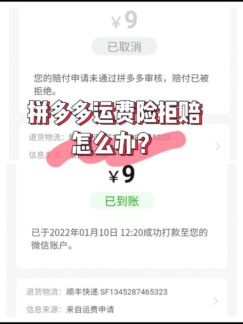 拼多多平台不给退款怎么办?如何强制退款?(拼多多平台不给赔付运费险是为什么)