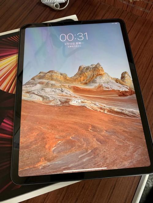 为什么iPad Pro在使用蜂窝数据时会出现卡顿现象？