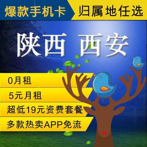 官方流量卡陕西