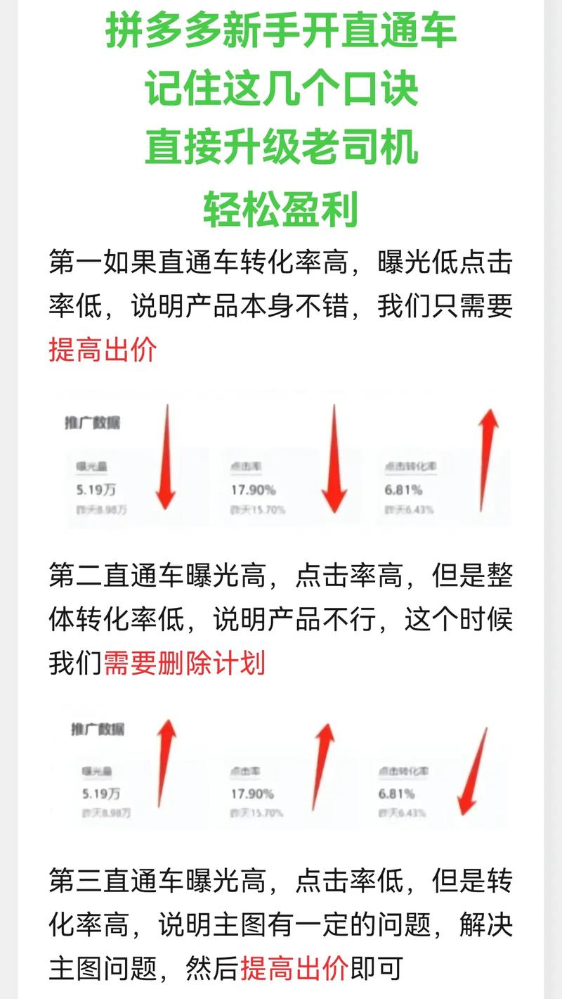 新手如何运营拼多多?新手拼多多运营技巧(新手拼多多运营技巧)