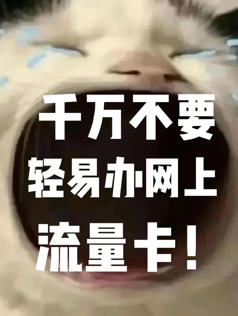 流量卡显示有流量用不了