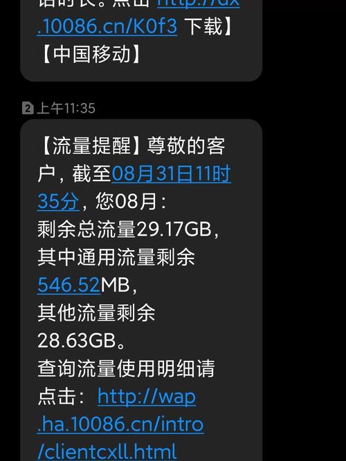 卡2偷跑流量
