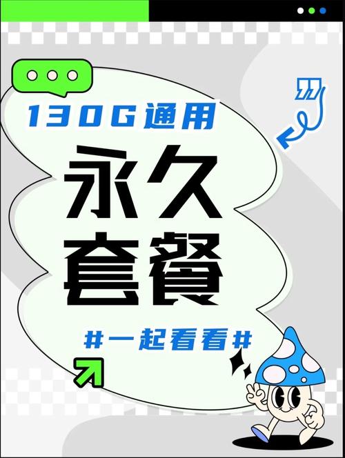 流量王副卡有多少流量吗
