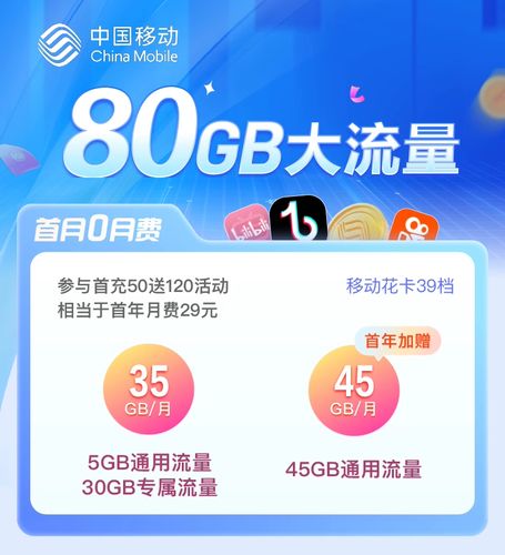 流量卡5g高速流量多少