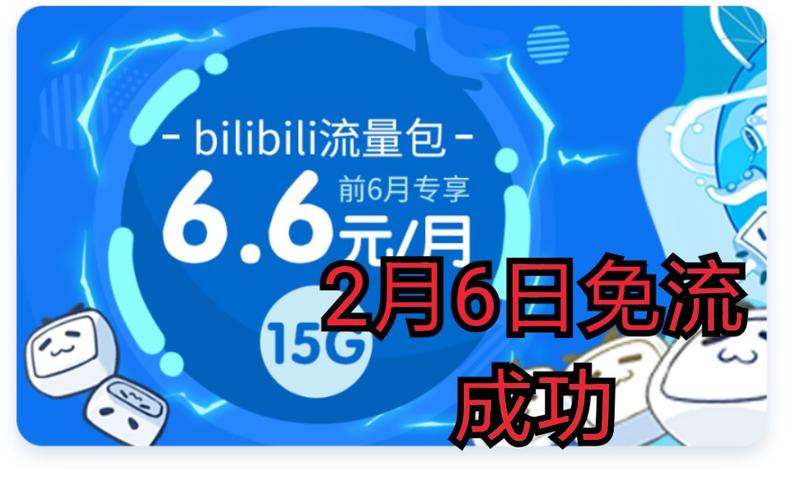哔哩哔哩流量卡的定向流量是如何定义和使用的？