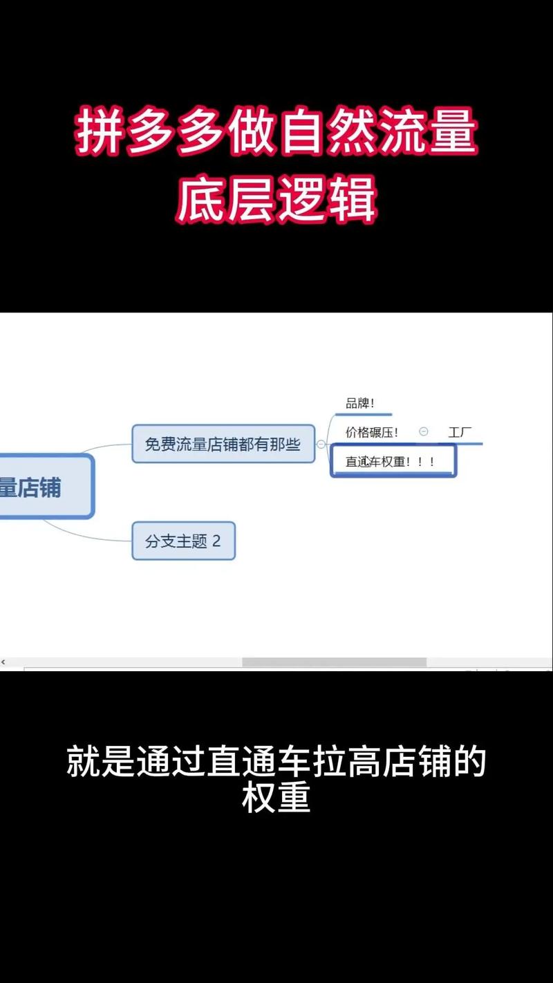 拼多多如何做基础流量?流量来源怎么看?(拼多多如何做好基础销量)