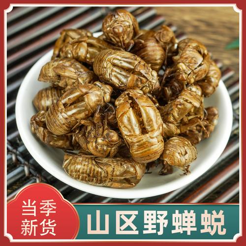 金蝉互联流量卡