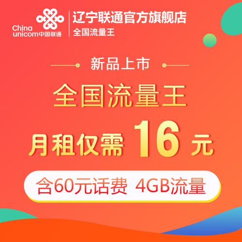 视频王中王流量卡