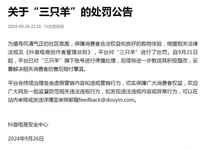 抖音账号被重置，哪些违规行为会导致处罚，具体后果是什么？
