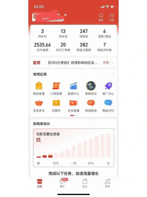新手拼多多运营方案怎么写?有效编写运营方案的技巧(做拼多多运营有前途吗)