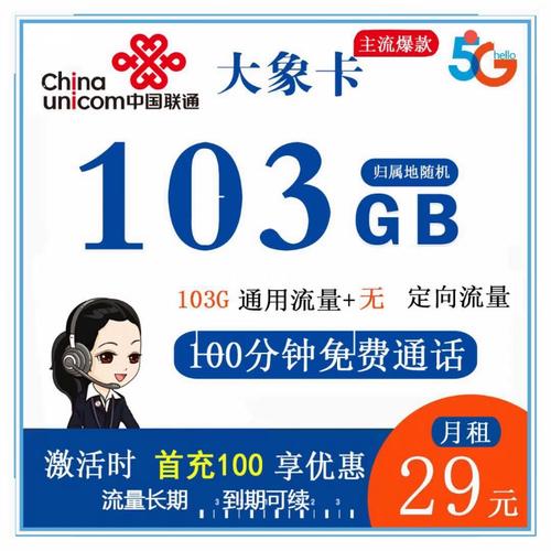 联通99卡流量套餐究竟能提供多少数据使用量？