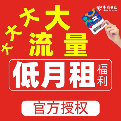 中国电信流量卡流量查询