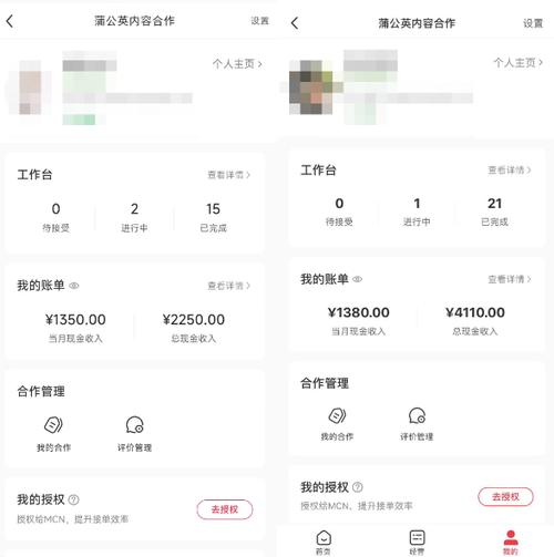 在拼多多平台上发布视频能赚钱吗？如何计算收益？