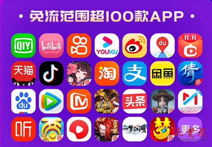 在拼多多购物时，哪些流量卡可以享受免流量服务？