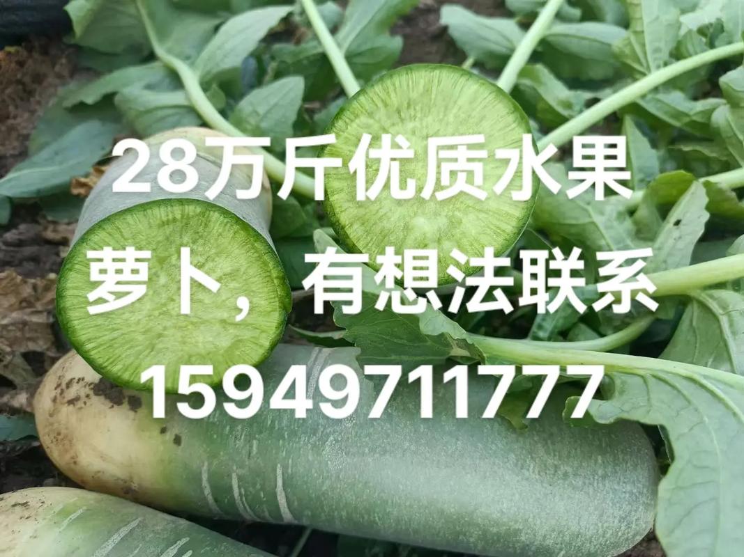 抖音真实宝服务和真实宝保险的关系是什么？怎么买?(抖音真实宝服务费是什么)