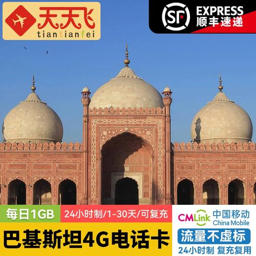 在巴基斯坦，如何查询流量卡的使用情况？