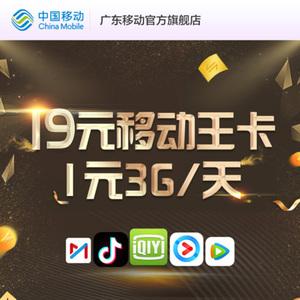 中国移动流量卡流量王