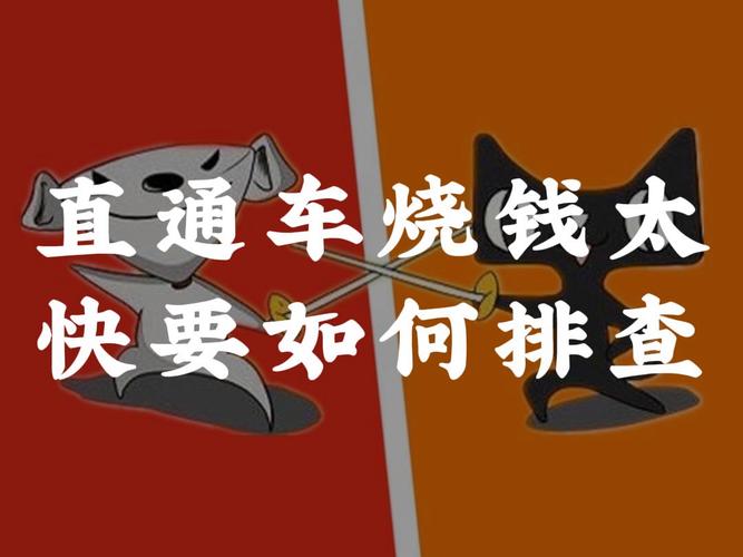 抖音直通车的花费究竟有多大？它带来了哪些实际效果？