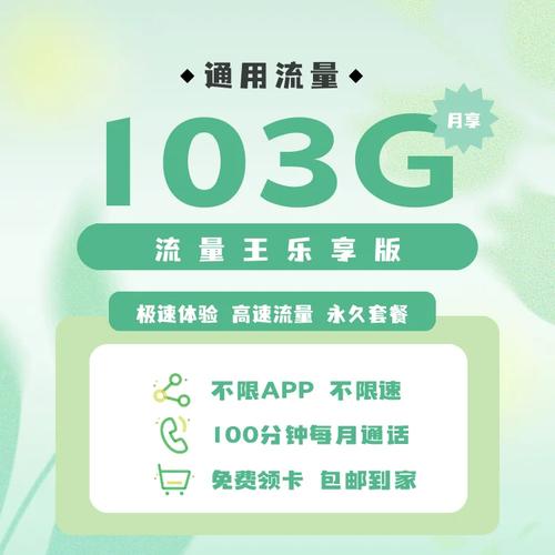 沃派流量王a卡提供的流量量是多少？