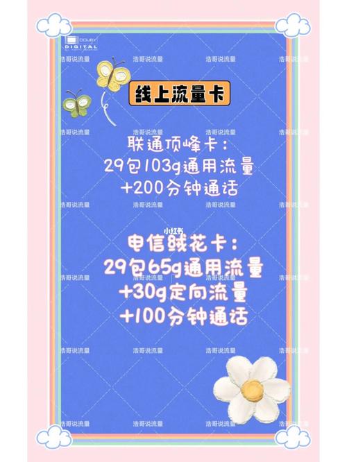 流量卡所有详情