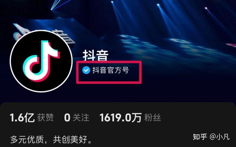 抖音蓝v怎么续费?怎么认证?(抖音续蓝v多少钱)