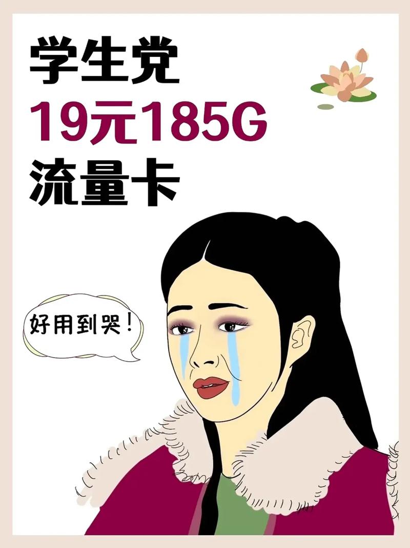 19块流量卡流量不够用