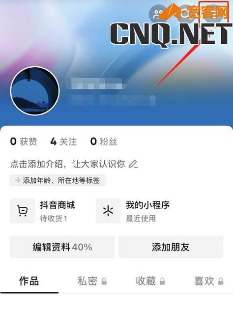 抖音月付功能究竟如何运作，它是否隐藏风险？