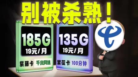 流量卡感觉流量用不了了