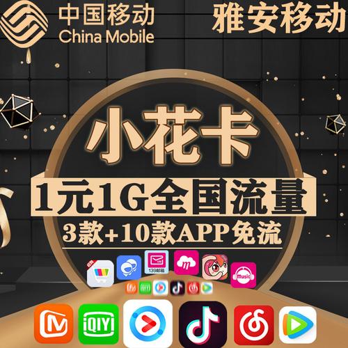 雅安地区的流量卡和电话卡有哪些特别之处？