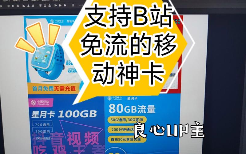 B站免流量卡究竟能省下多少上网费用？