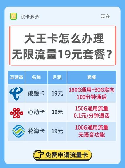 大王卡19流量