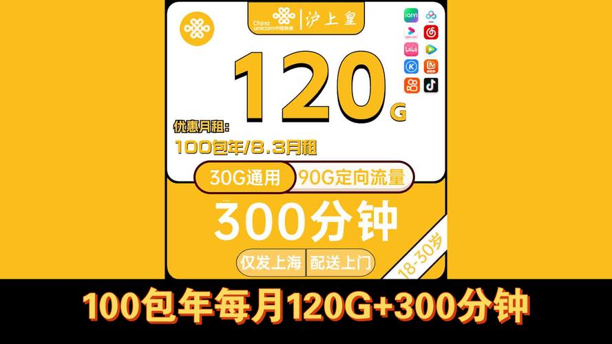 包年流量卡 英语