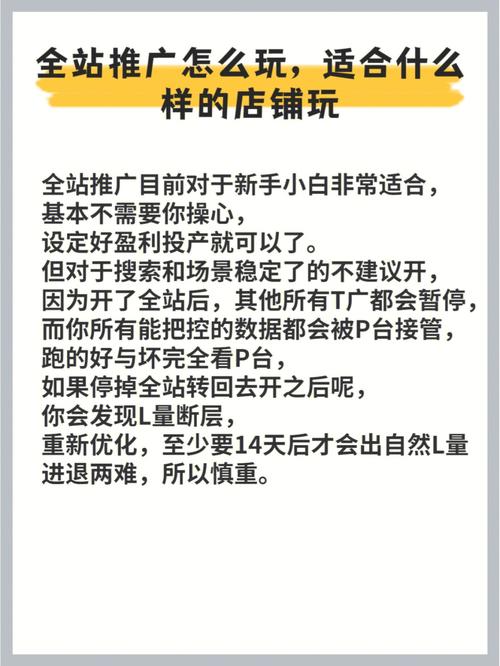 拼多多全站推广如何修改花费大小？如何充值？(拼多多全站推广费比多少合适)
