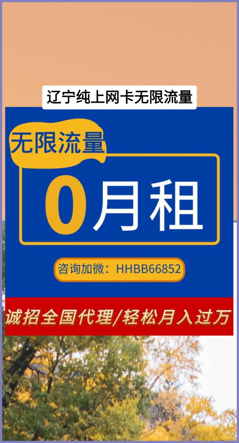 无限流量卡能存流量嘛